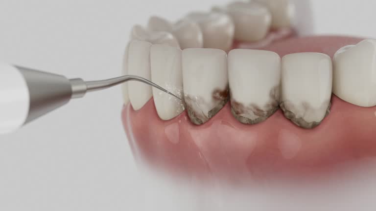 Reliable Dental contractor in Clarke County County, AL by Dentist Open Now